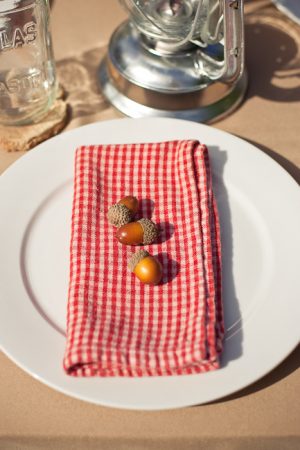 acorns