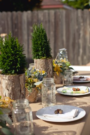 rustic-woodland-baby-shower