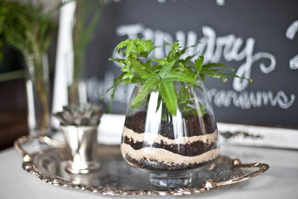 diy-terrarium-centerpiece