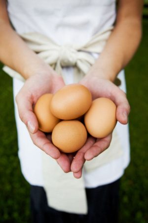brown-eggs