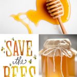 Party Palette: Honey + Nectar