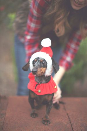HaleySheffield.NewlyWedChristmas_048