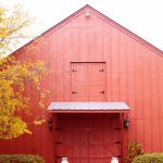 Sarah + BJ: A Texas Winery Wedding