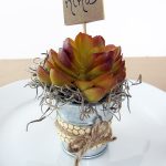 DIY Succulent Place Cards (And a Michaels Discount!)
