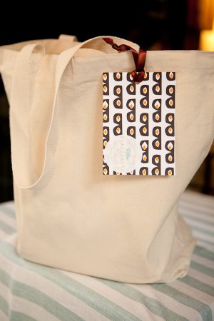 2012-OSBP-Delphine-Paper-Party4