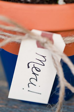 DIY with the Sweetest Occasion