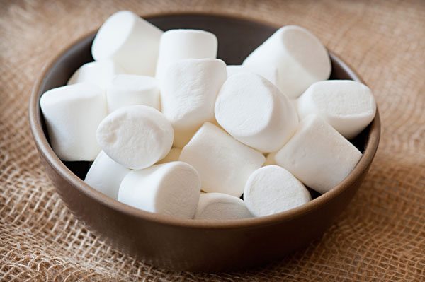 DIY-Smores-Kits-Favors-Camping-Party-07