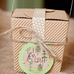 DIY Smores Kit Favors