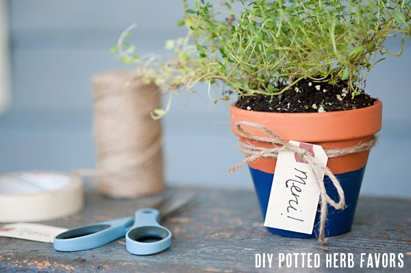 potted-herb-favors