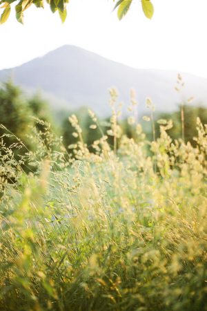 Wilson_Tunstill_Heather_Payne_Photography_3_low