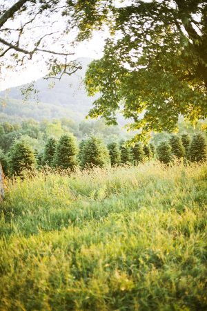 Wilson_Tunstill_Heather_Payne_Photography_4_low