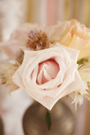 pink-roses
