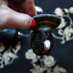diy turkey place card holder 2