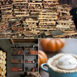 Party Palette: Tweed + Pumpkin