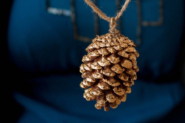 DIY gold leaf pine cone garland from The Sweetest Occasion | Photo by Alice G Patterson DIY gold leaf pine cone garland from The Sweetest Occasion | Photo by Alice G Patterson