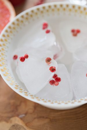 Pink Grapefruit Champagne Fizz Pink Grapefruit Champagne Fizz