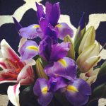 The Sweetest Home: A Few Quick Updates